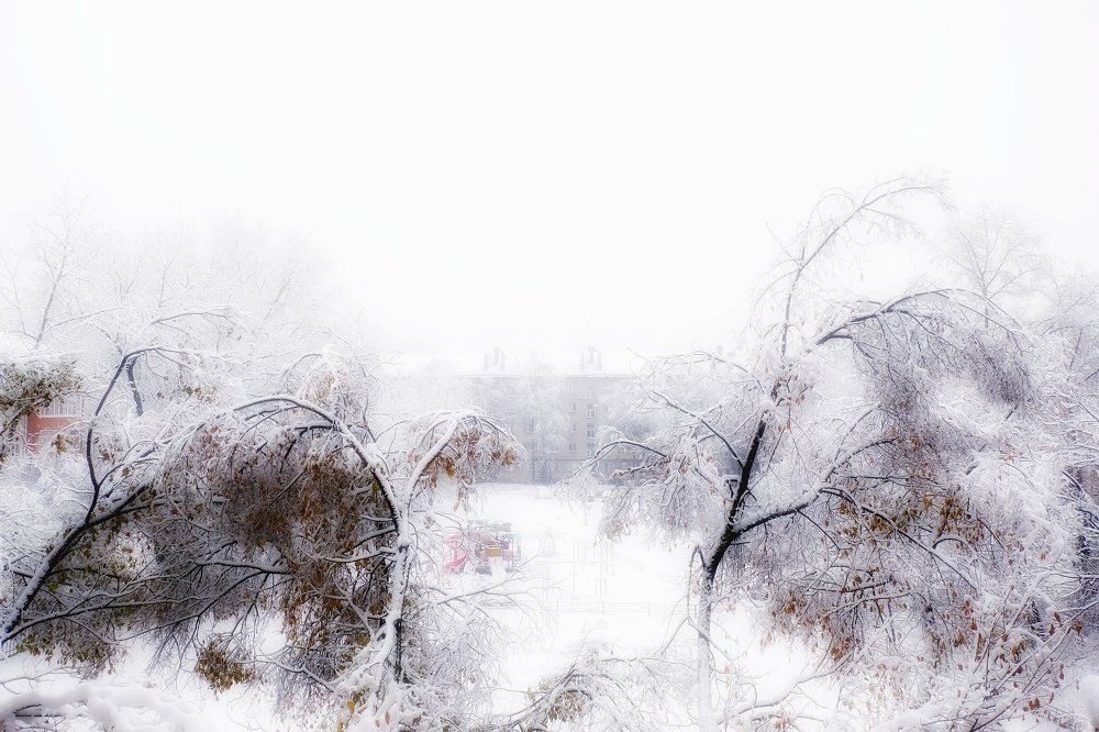 Photograph by Сергей Колесниченко