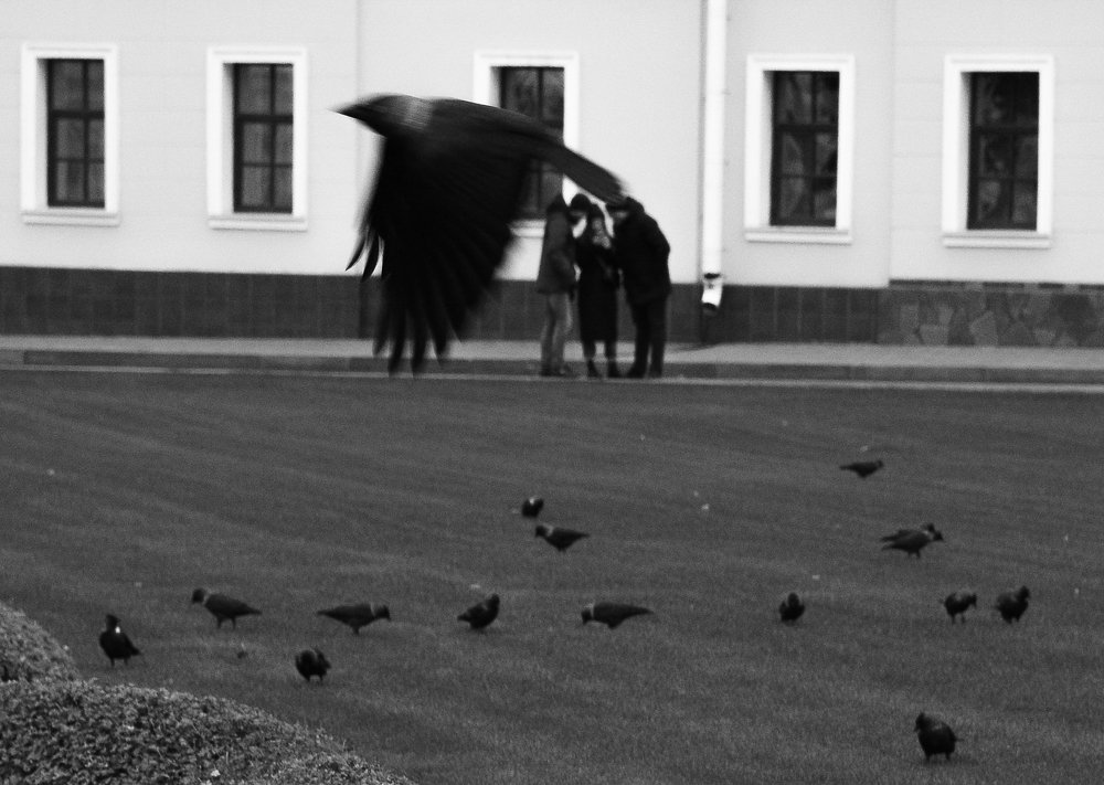 Фотография автора Глеб Рубашкин