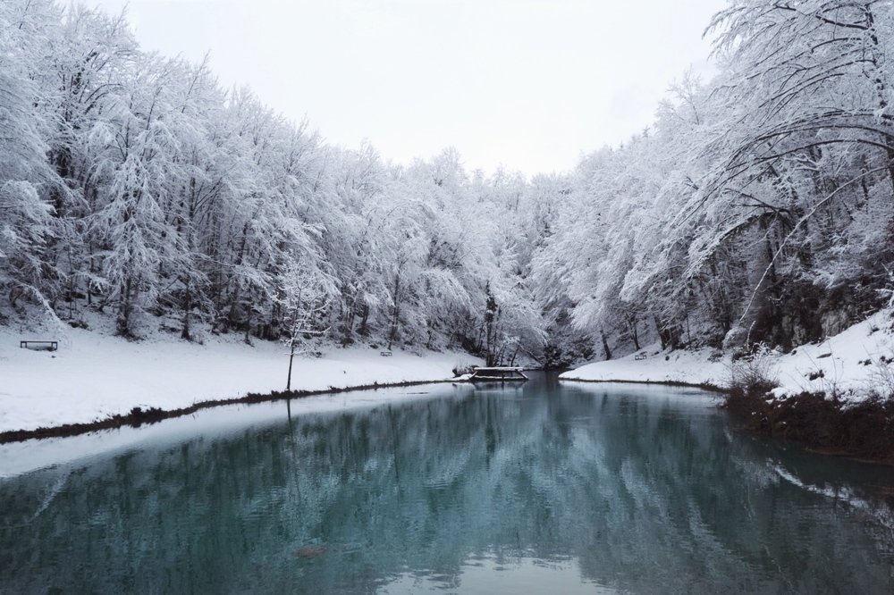 Winter wonderland❄️