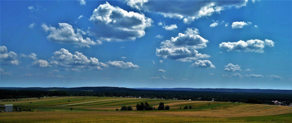 Photograph by Patrycja