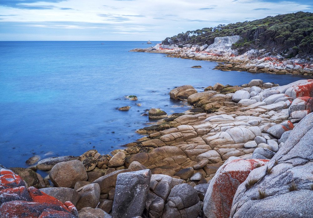 Photograph by Iesha Stewart