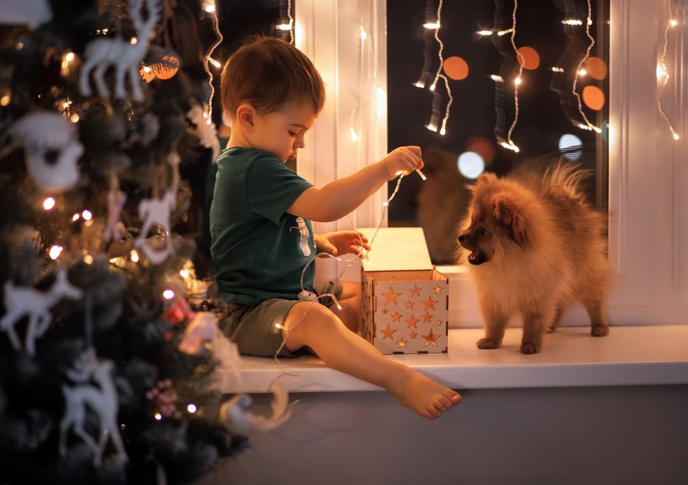 Фотография автора Виктория Наумовец