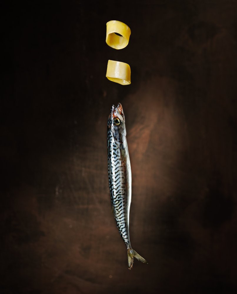 Calamarata with mackerel