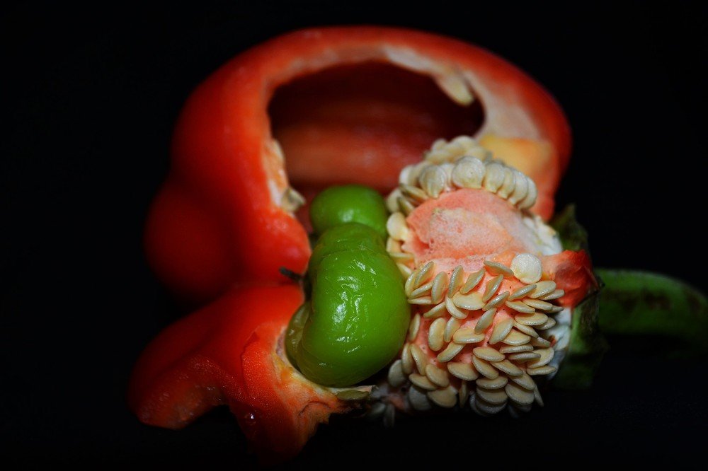 Photograph by Patrycja