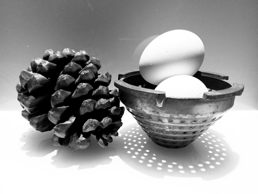 Photograph by Kapil Singh