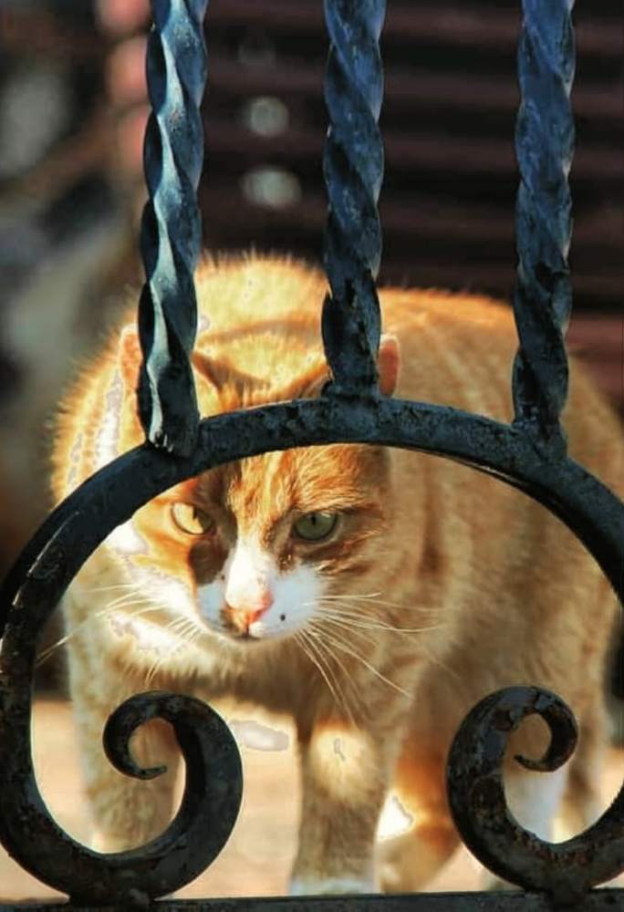 Photograph by Эльза Крюкова