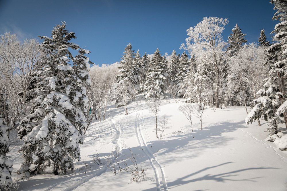 Фотография автора Дмитрий Эбингер
