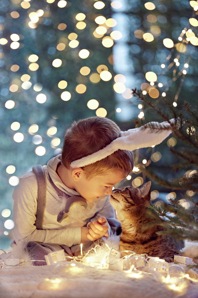 Зайка с котиком.