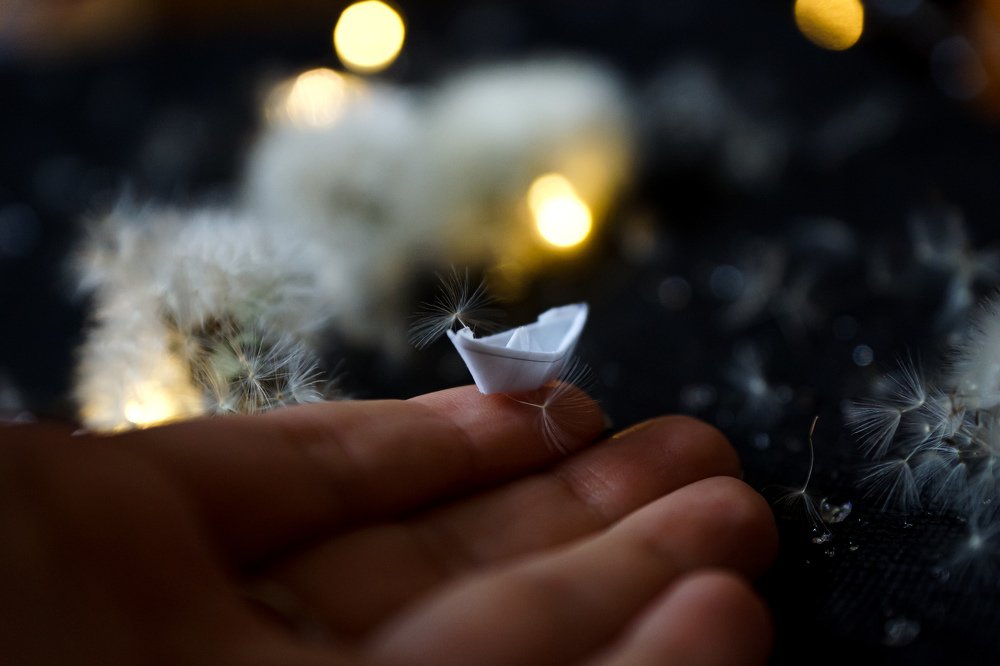Photograph by Александра Тютчева