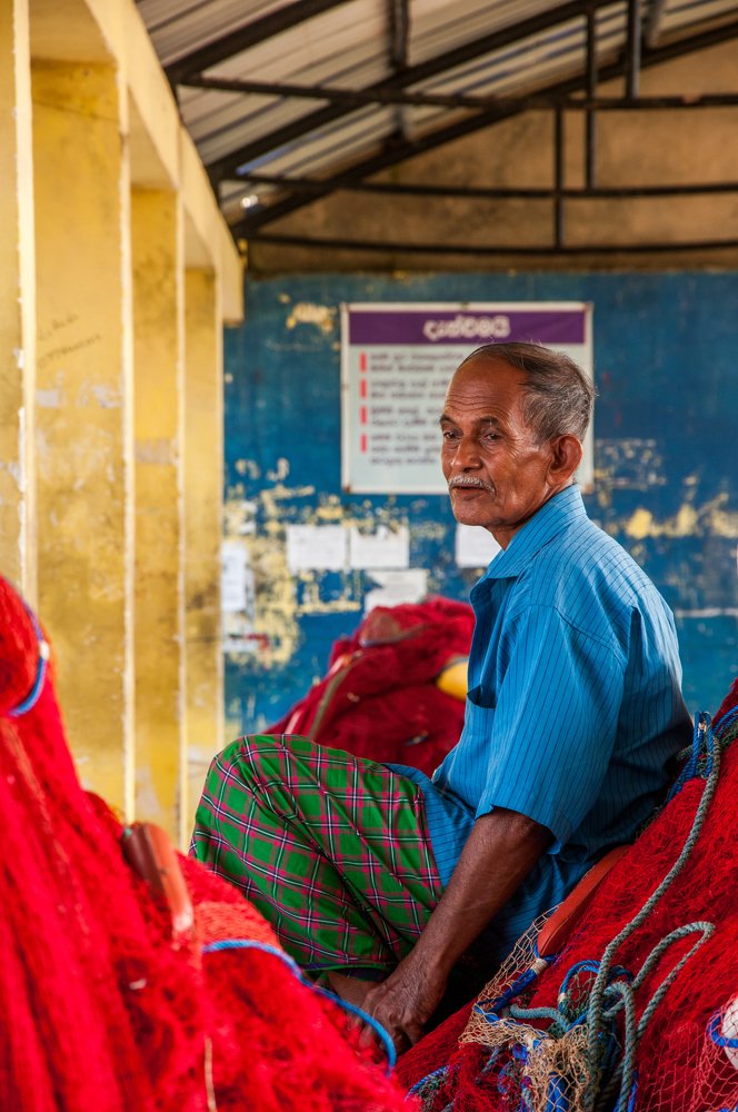 Photograph by Chamara Sulakkhana Polwatta Siriyalage