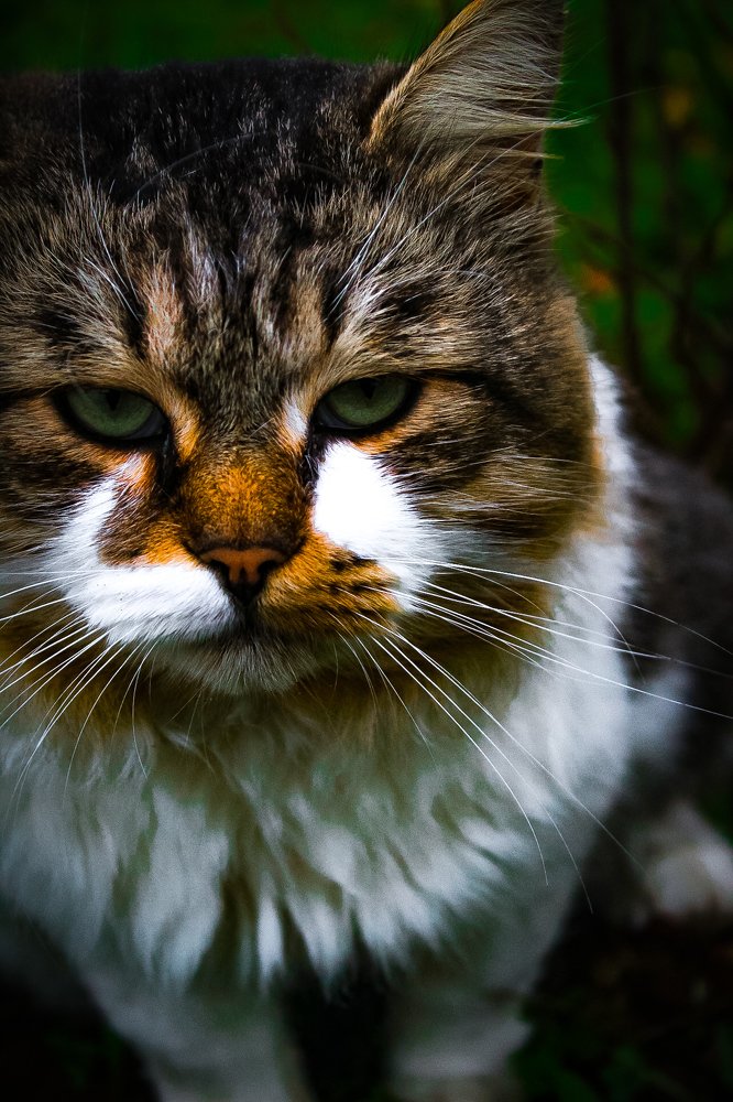 Photograph by Виктория Попкова