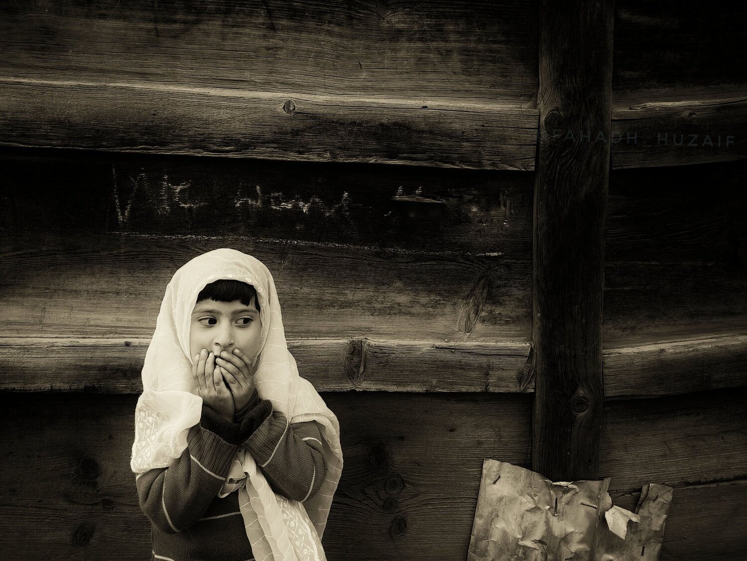 Photo #5440813