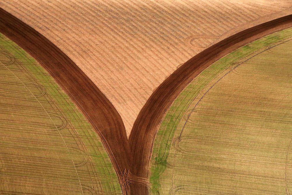 Photograph by juan francisco zamora salmeron