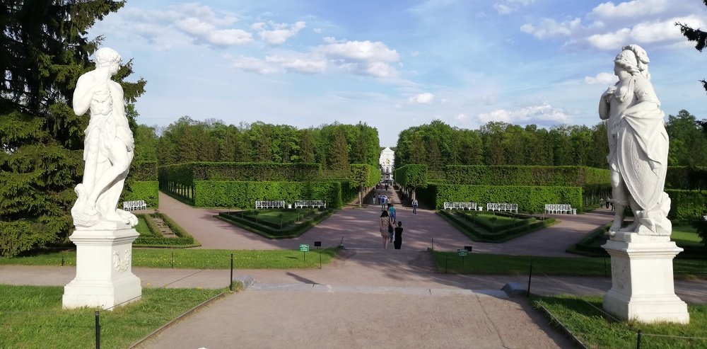 В тени аллей