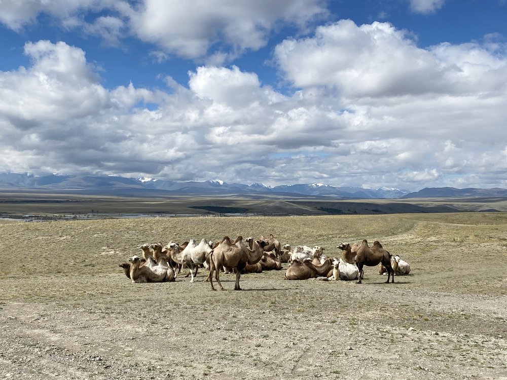 Photograph by Ольга Беккер