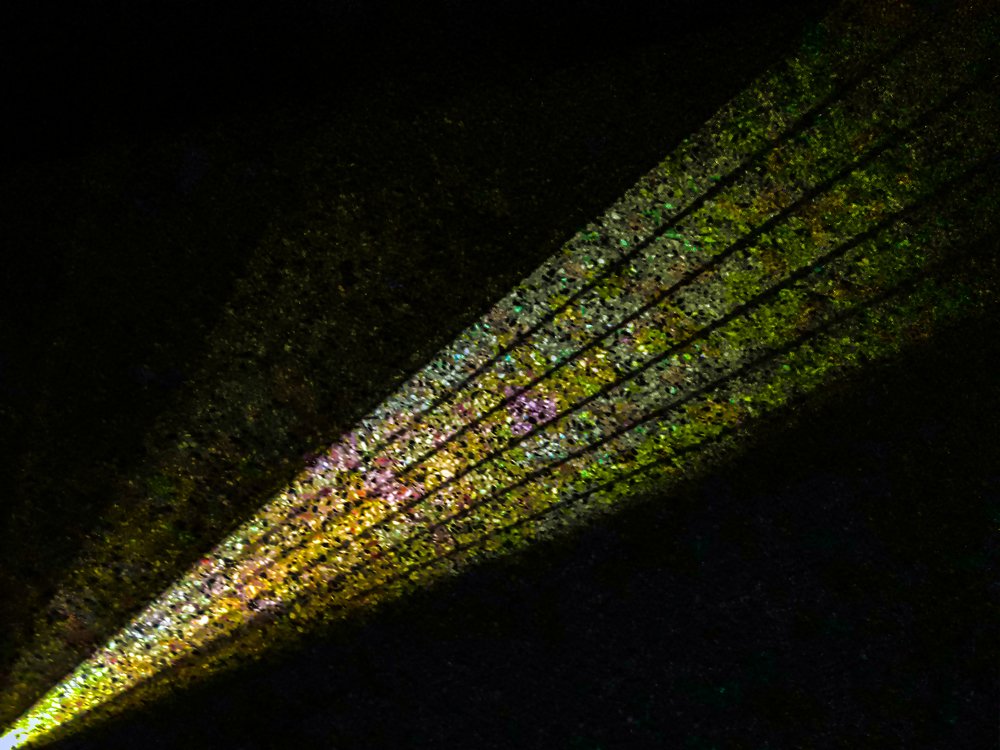 Photograph by Ricardo Kimmich