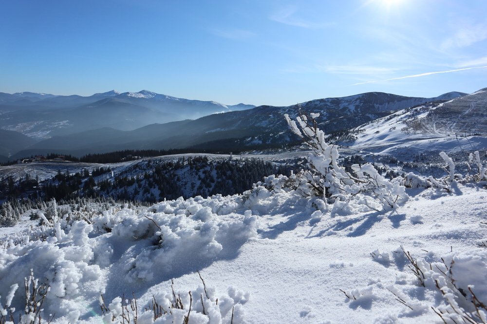 Photograph by Maryna Sydorova