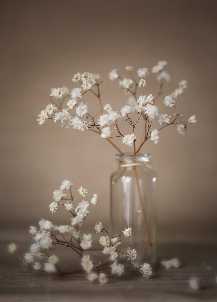Photograph by Ольга Семенова