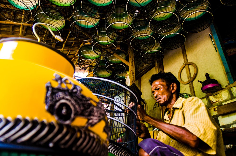 turtledove bird cage craftsman