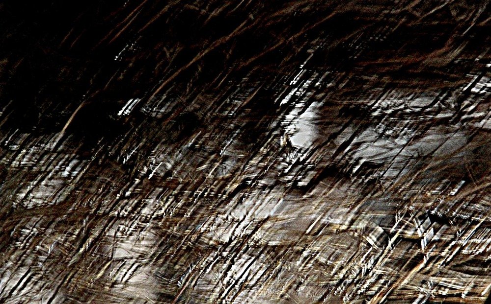 RAINY TUFT#2