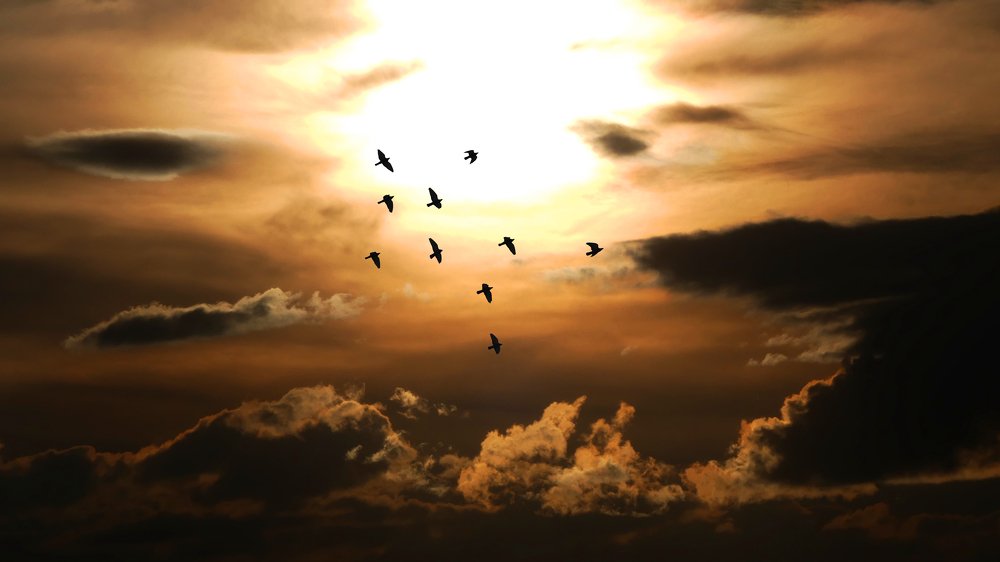 Photograph by ali bakhshi