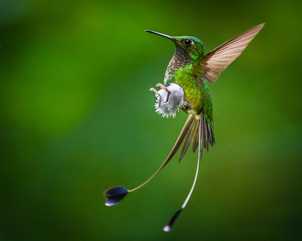 Photograph by Richard Gandara