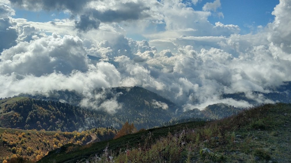Photo #5441262