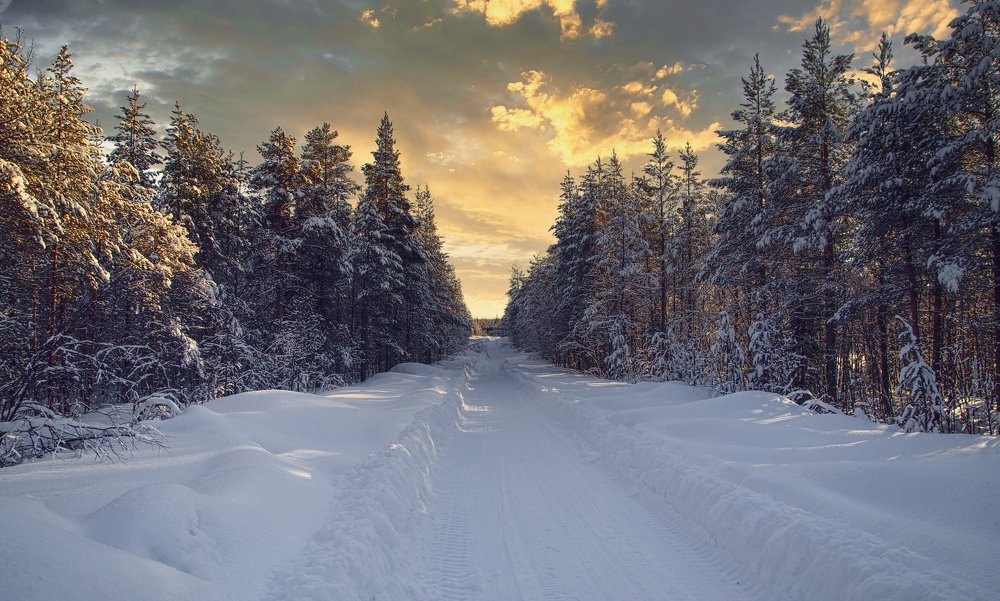 Photograph by Алексей Покровский