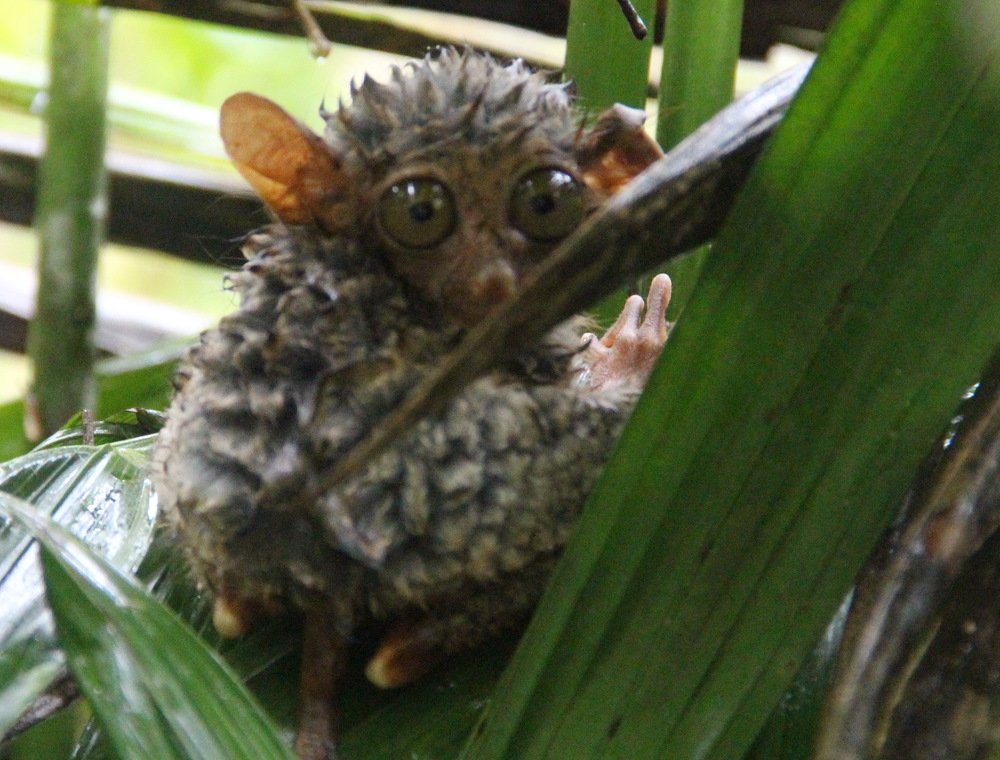 Photograph by Валентина