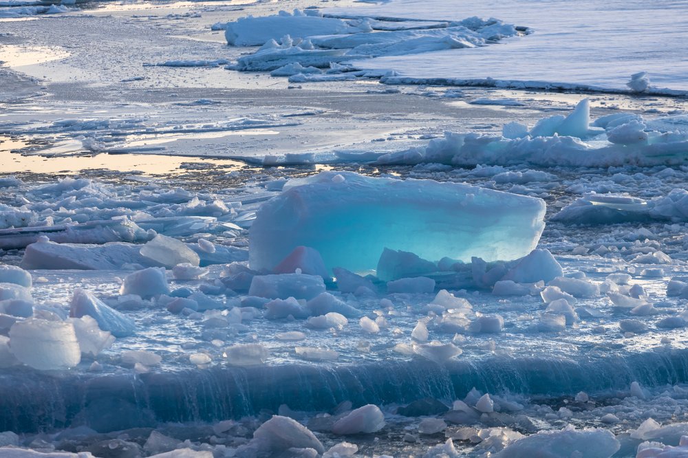 Photograph by Алексей Шматков