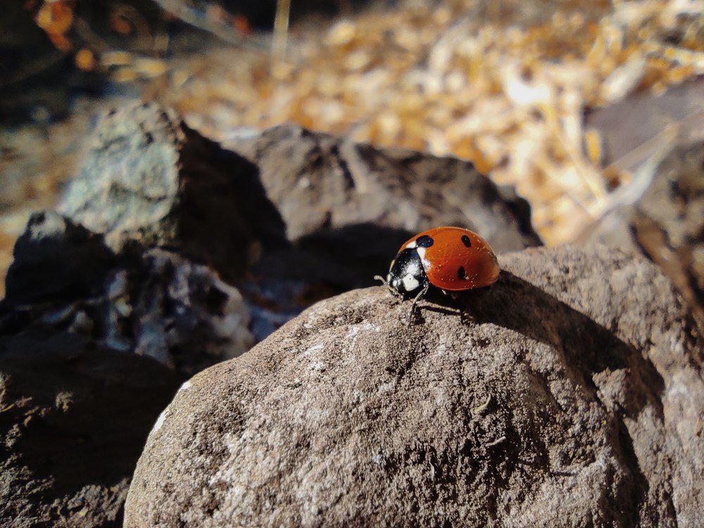 Photograph by Вадим Шеин