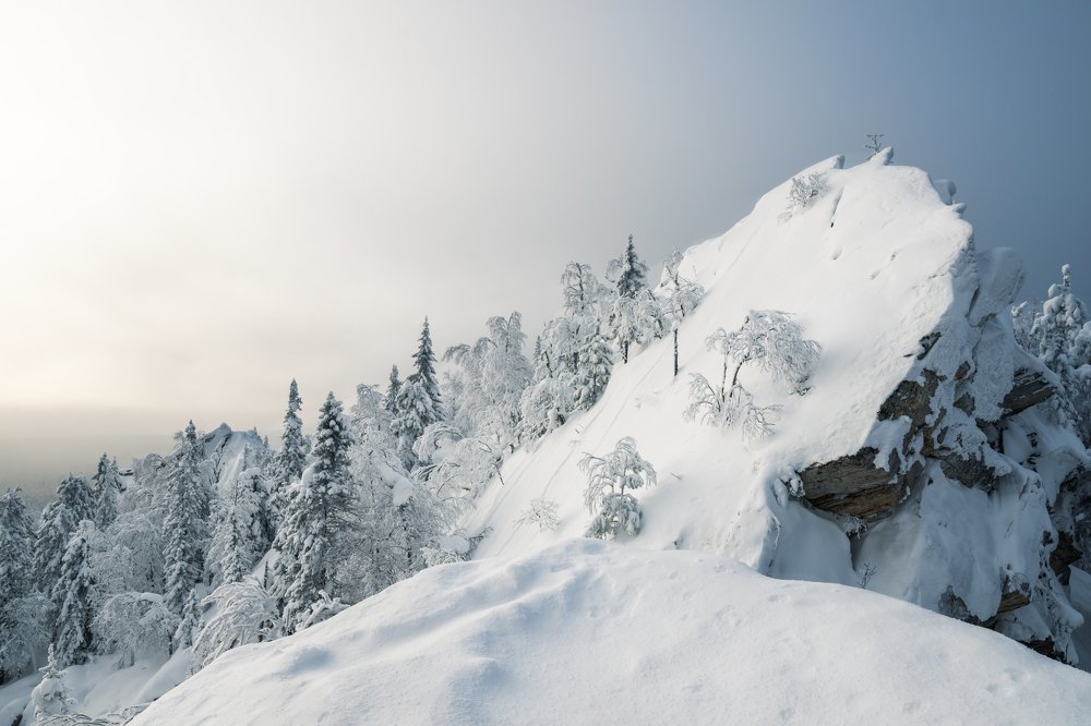 Photograph by Алёна Ивочкина