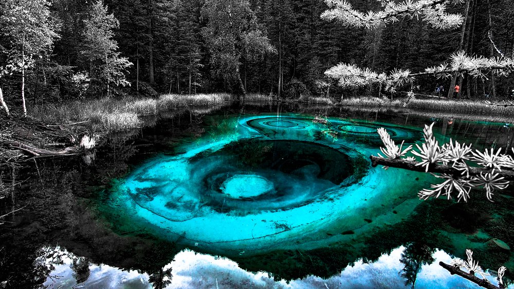 Photograph by Алексей Сень