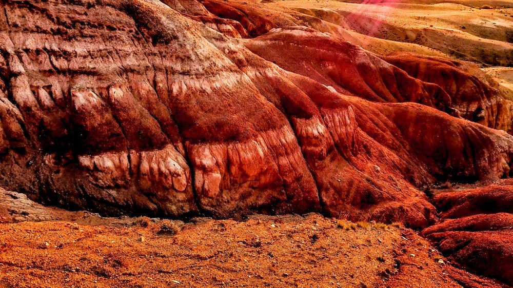 Photograph by Алексей Сень