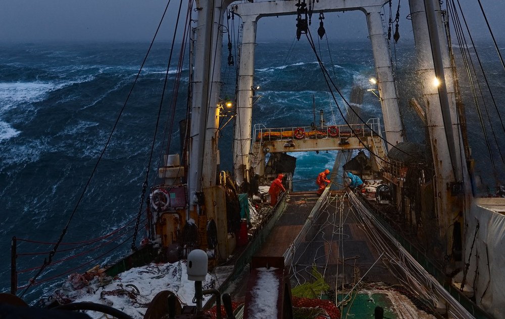 штормовое утро