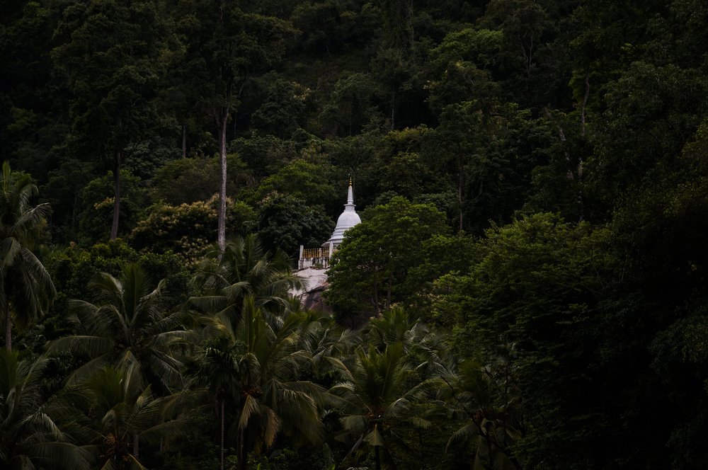 Photograph by Chamara Sulakkhana Polwatta Siriyalage