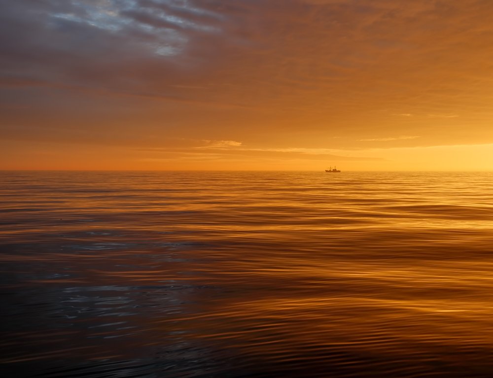 Photograph by Евгений Паршуков