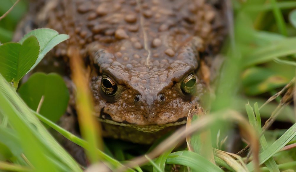 Фотография автора Mansoor Heydaryan