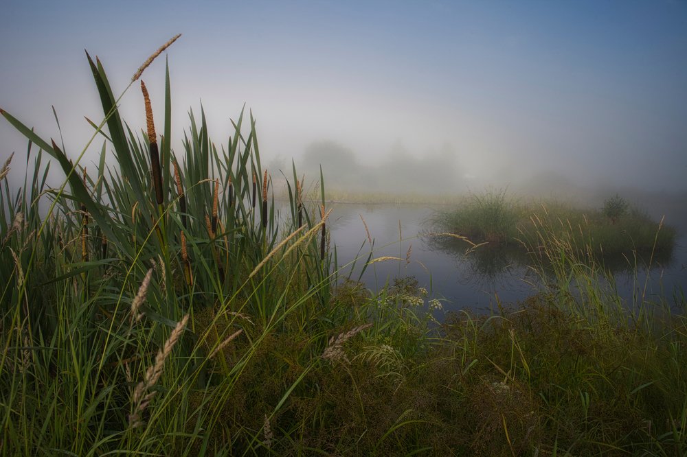Photograph by Eвгений Якушенко
