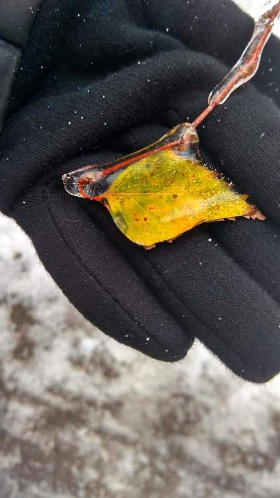 Photograph by Евгения Довгаль