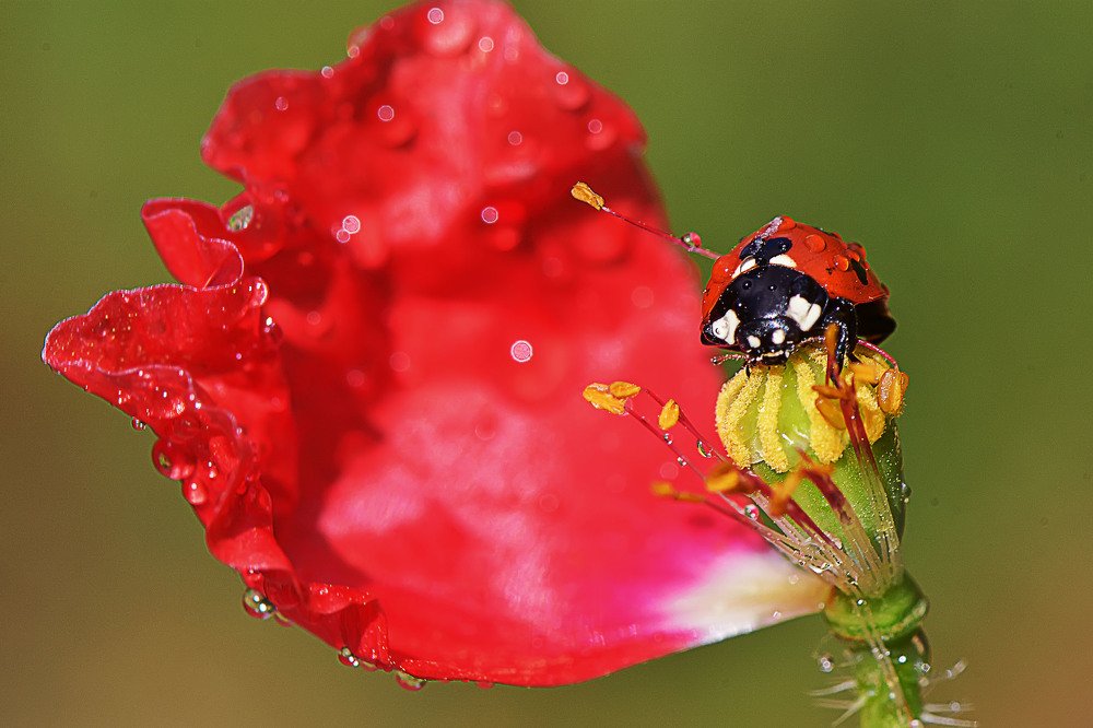 Фотография автора Билан Виктория