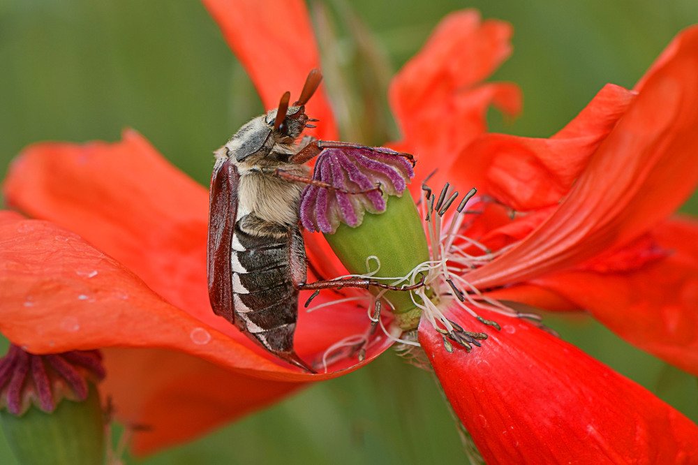 Фотография автора Билан Виктория