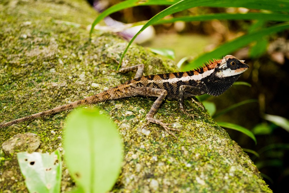 Photograph by Victoria Krasyuk