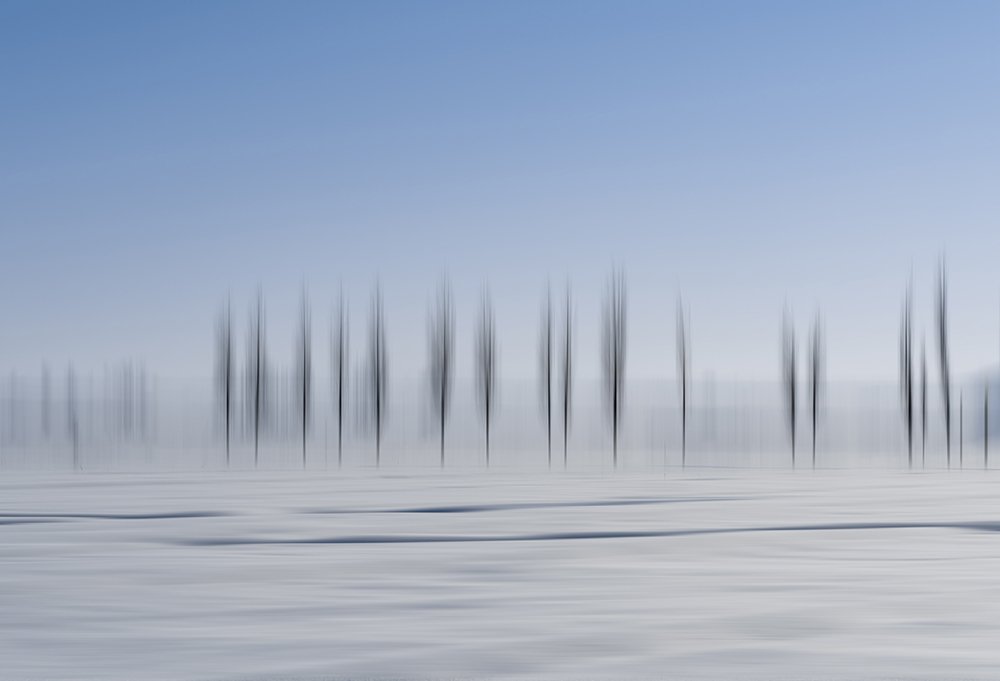 Photograph by Behnam Khoshbaten