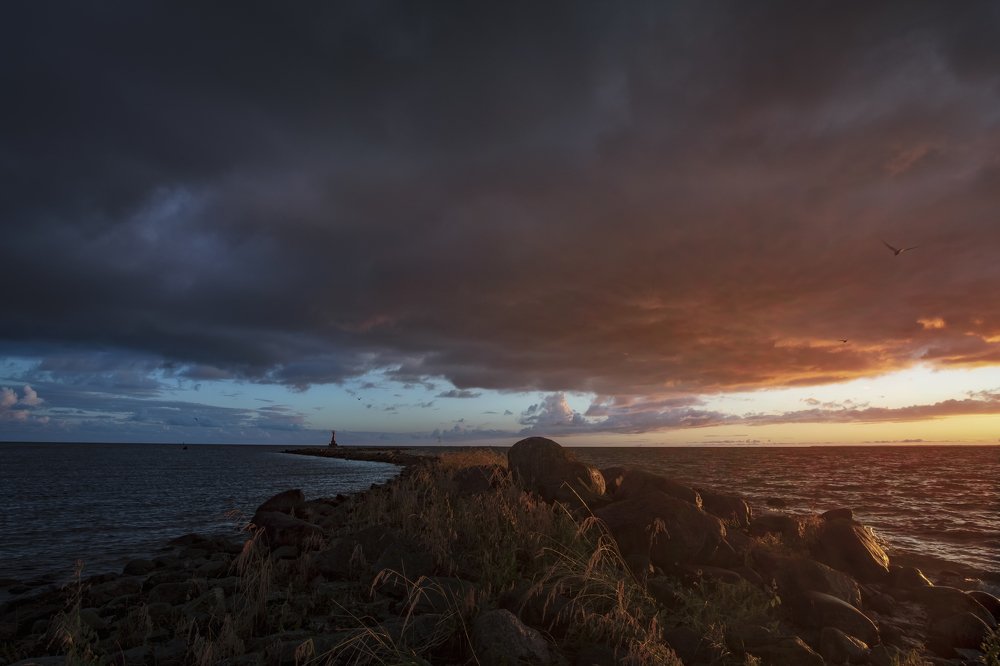 Photograph by Vyacheslav Biryukov