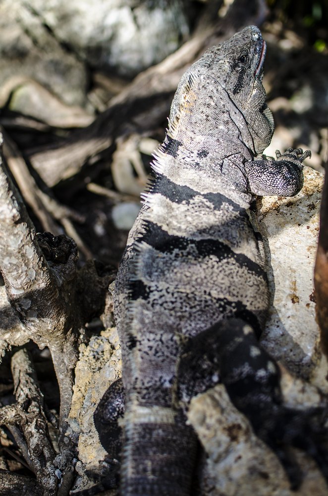 Photograph by Victoria Krasyuk