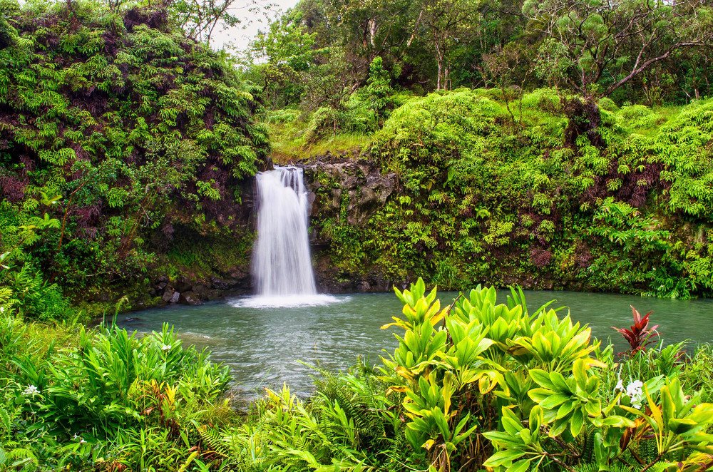 Photograph by Victoria Krasyuk