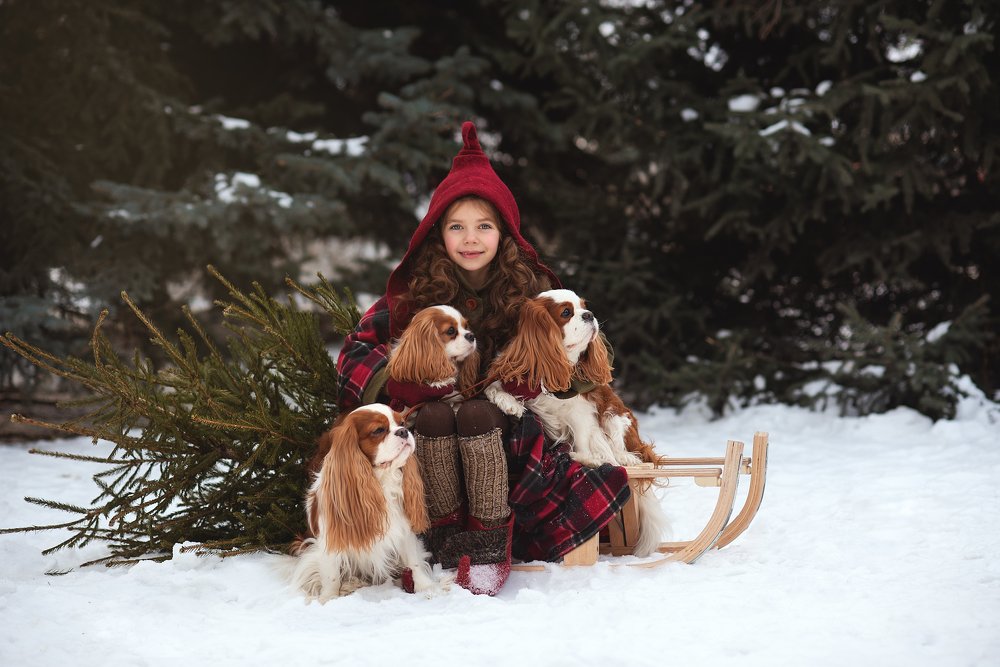 Photograph by Наталья Скроб