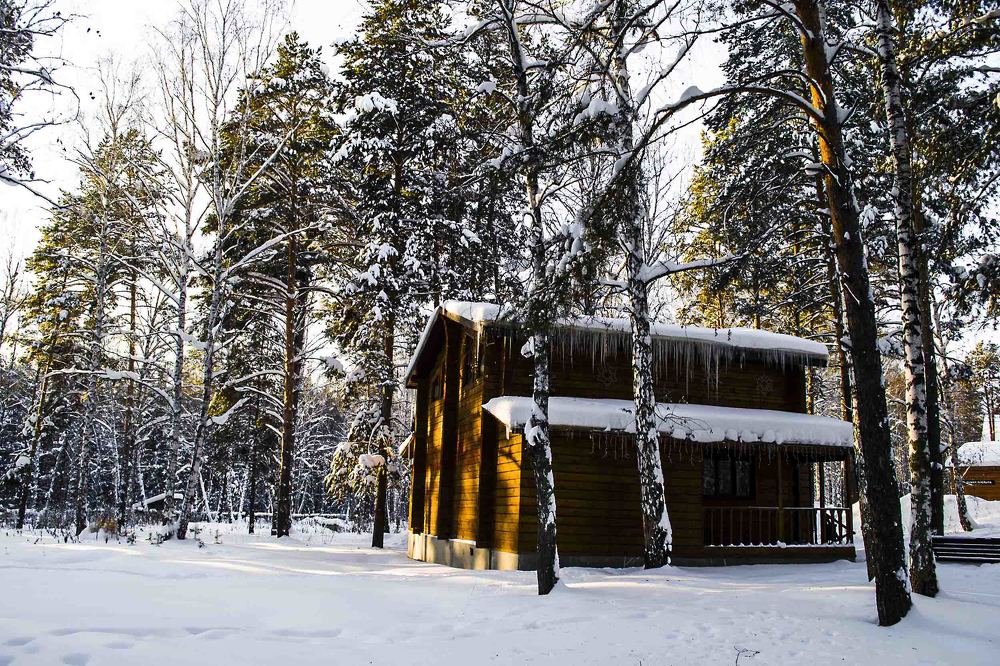 Photograph by Victoria Krasyuk