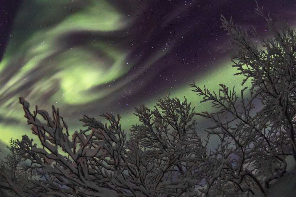 Photograph by Светлана Ржевская